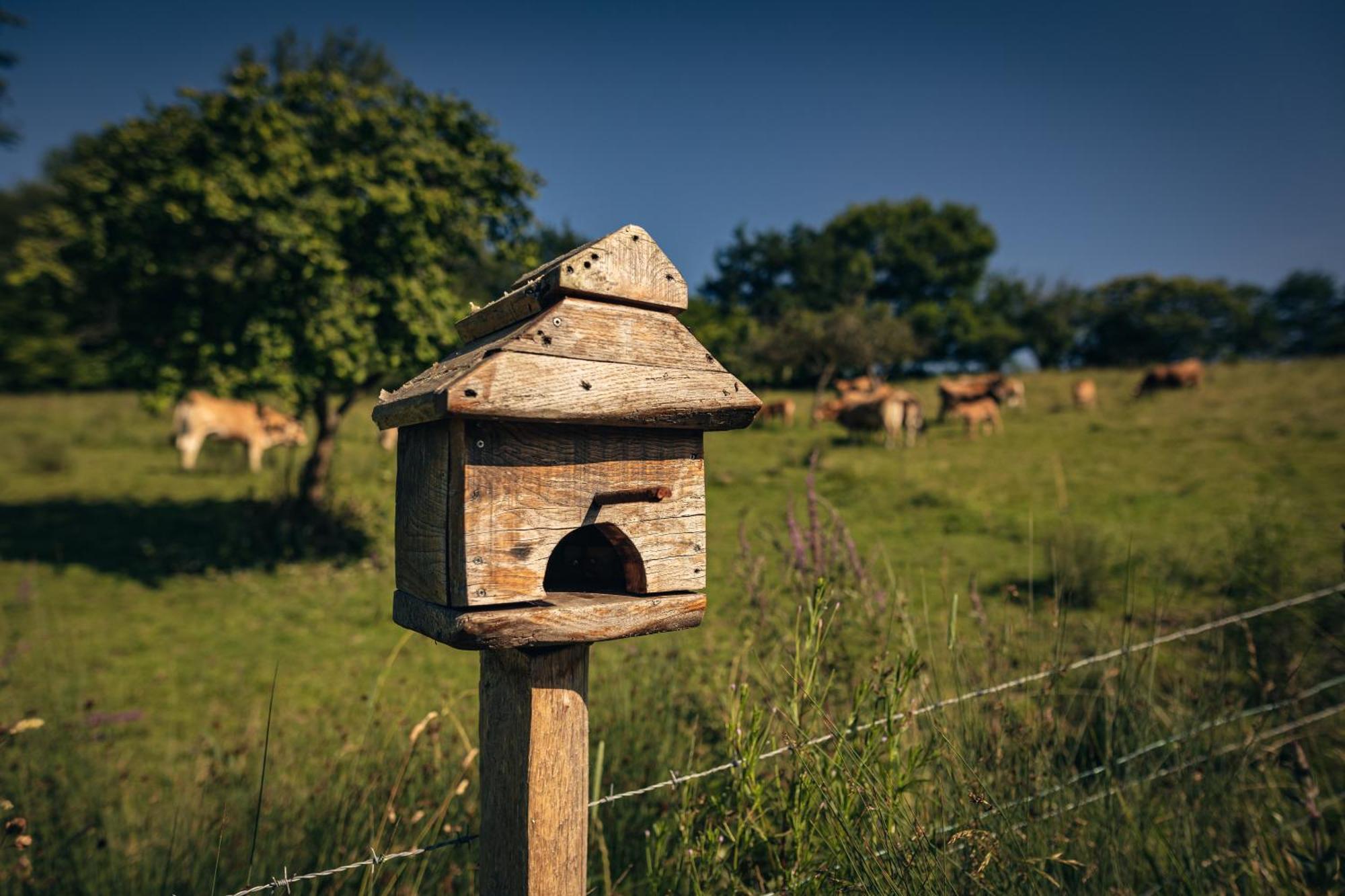 Finca La Naguada Casa Rural En Asturias Белонсио Экстерьер фото