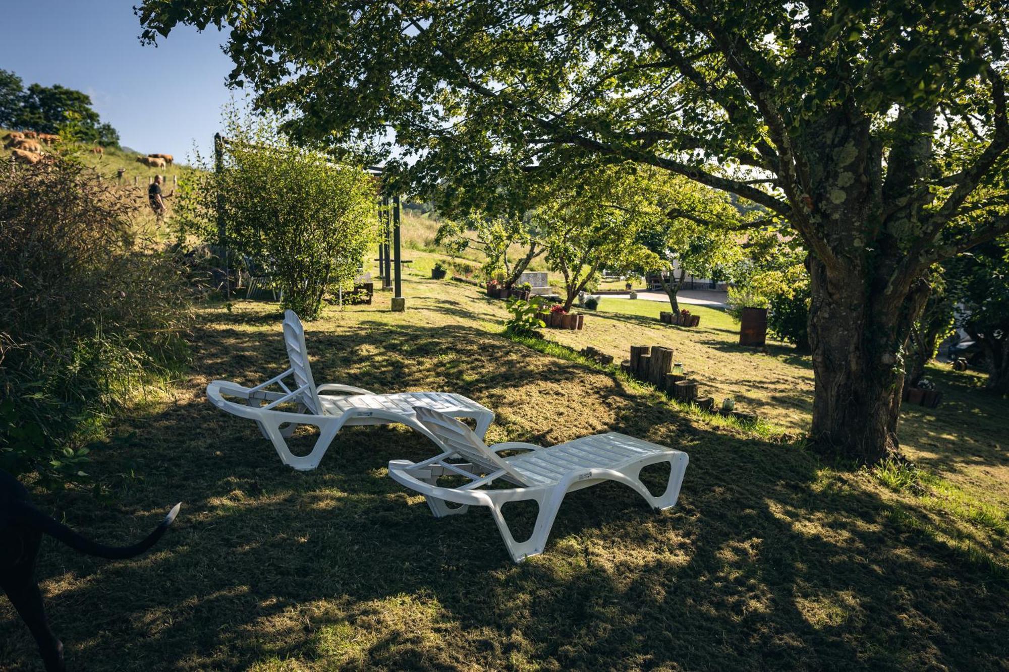 Finca La Naguada Casa Rural En Asturias Белонсио Экстерьер фото